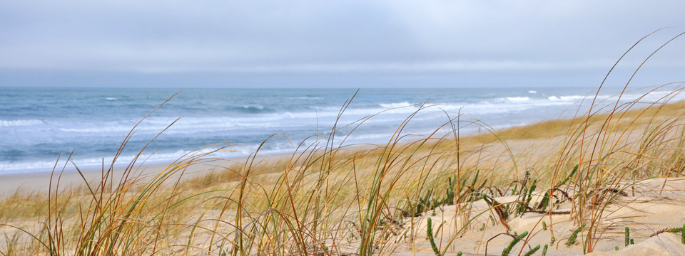 cambre hote cap ferret